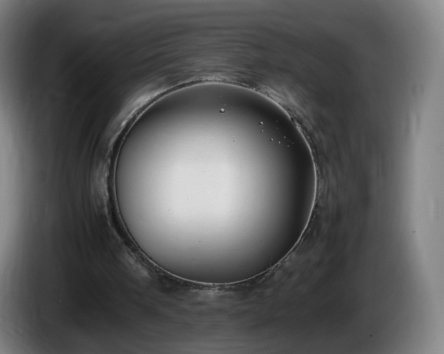 X0000086010098200703301019