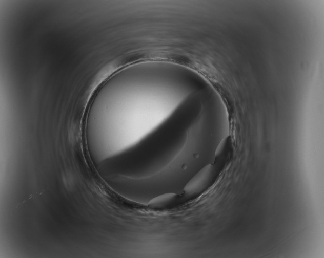 X0000086010099200703301019