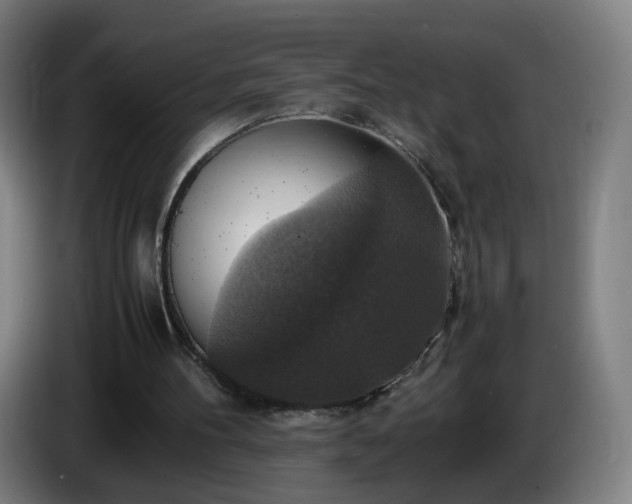 X0000086010100200703301019