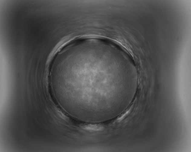 X0000086010101200703301019
