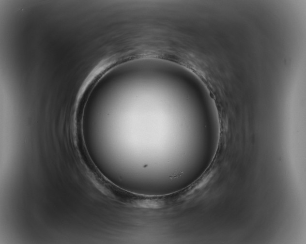 X0000086010102200703301019