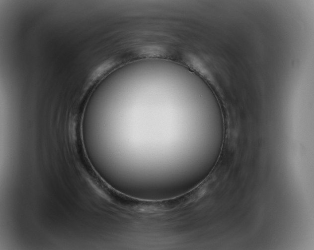 X0000086010106200703301019