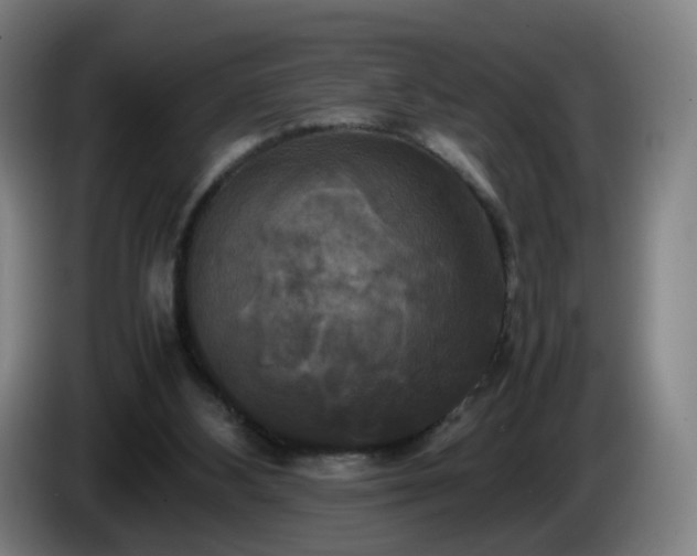 X0000086010108200703301019