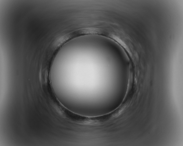 X0000086010109200703301019