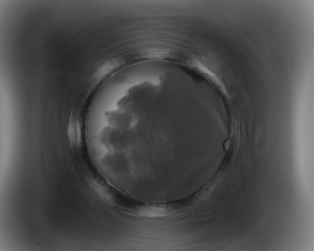 X0000086010110200703301019