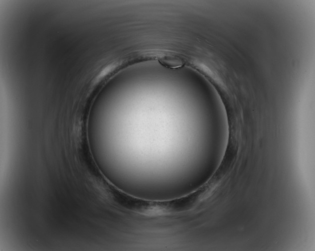 X0000086010111200703301019