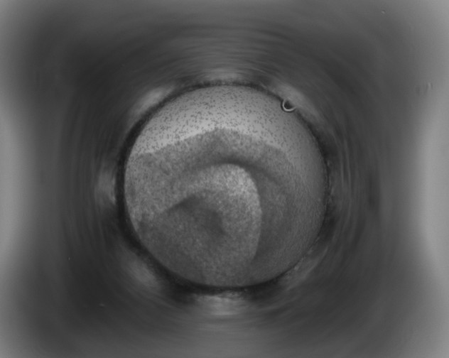 X0000086010112200703301019
