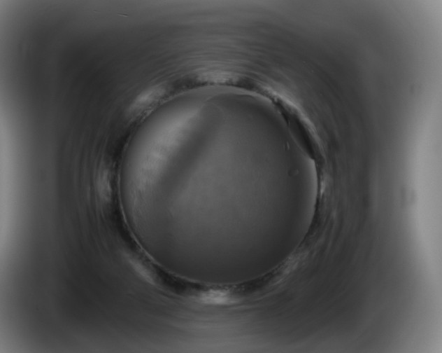 X0000086010114200703301019