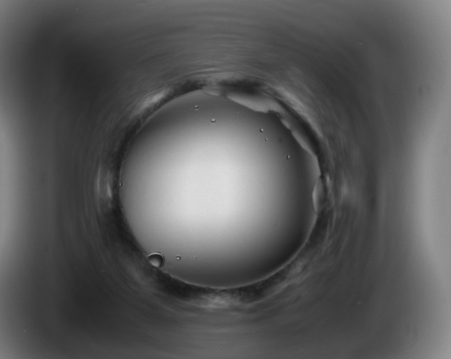X0000086010115200703301019