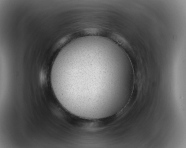 X0000086010116200703301019