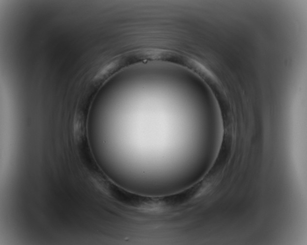 X0000086010119200703301019