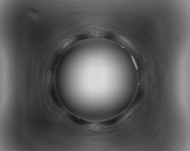 X0000086010121200703301019