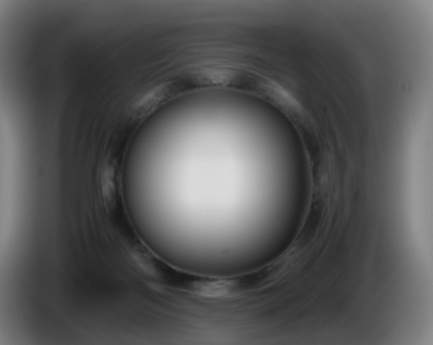 X0000086010122200703301019