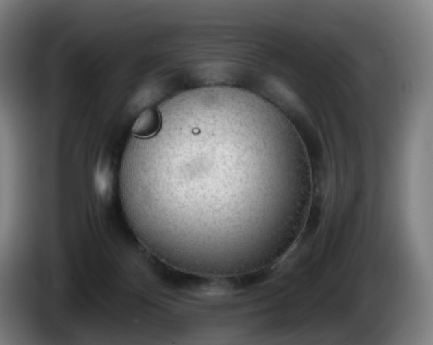 X0000086010124200703301019