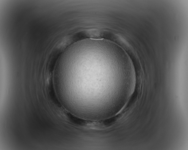 X0000086010125200703301019