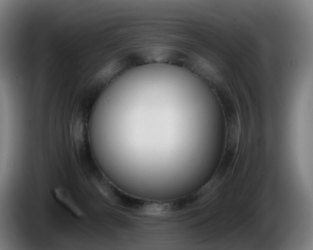 X0000086010126200703301018