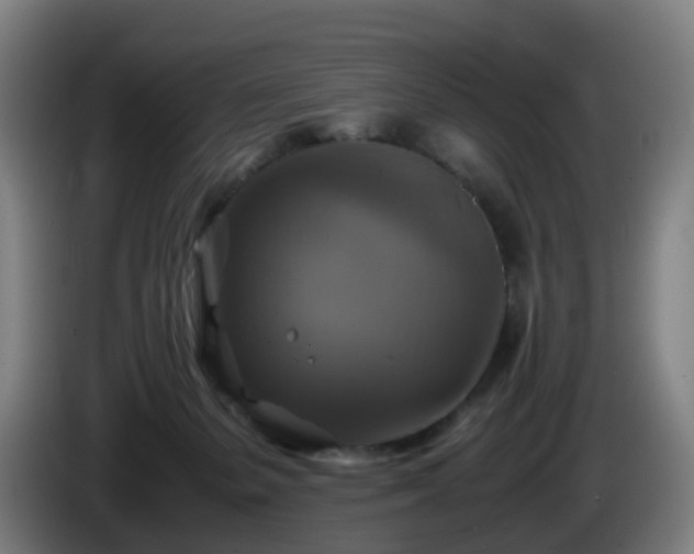 X0000086010127200703301018