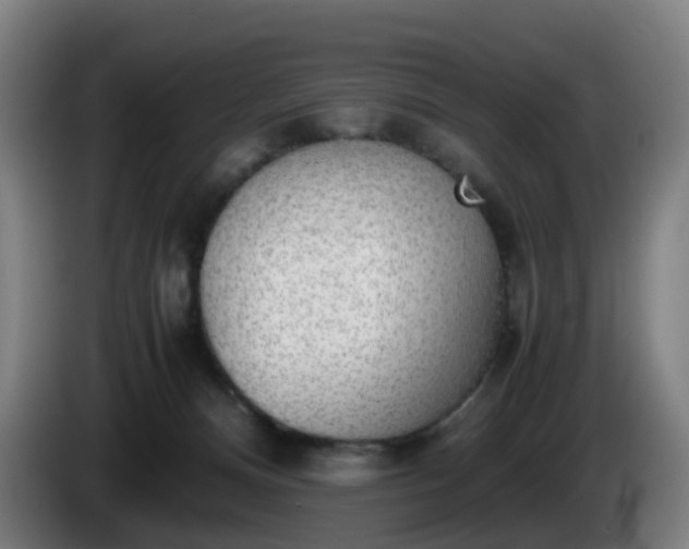 X0000086010128200703301018