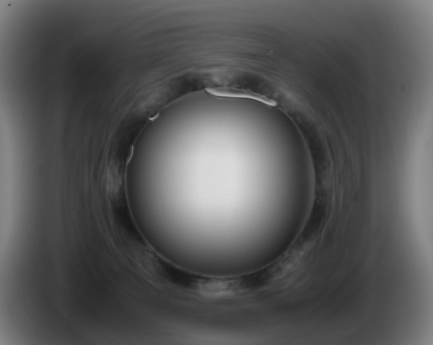 X0000086010129200703301018