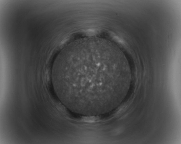 X0000086010131200703301018