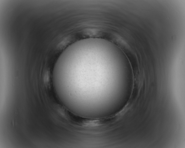 X0000086010132200703301018