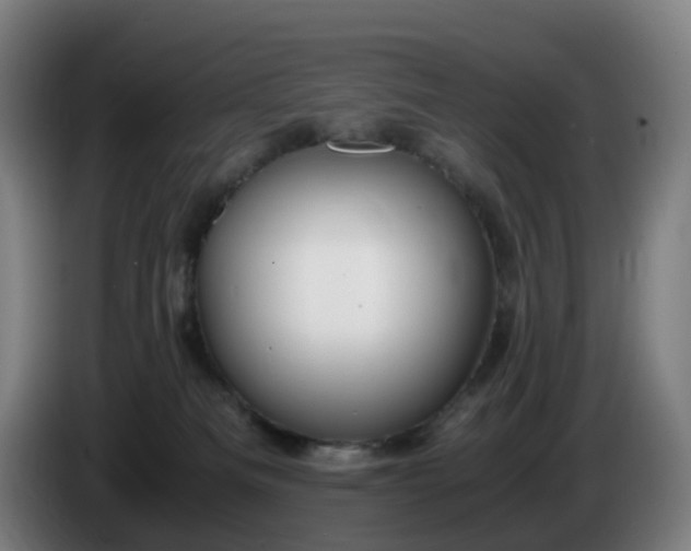 X0000086010133200703301018