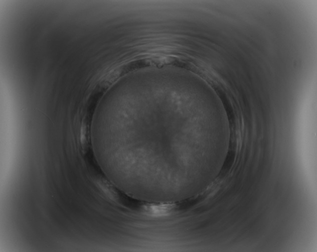 X0000086010134200703301018