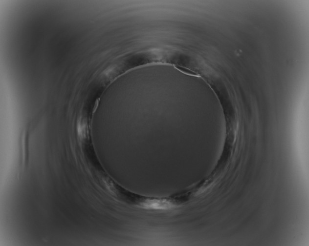 X0000086010137200703301018