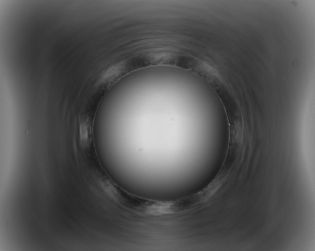 X0000086010138200703301018