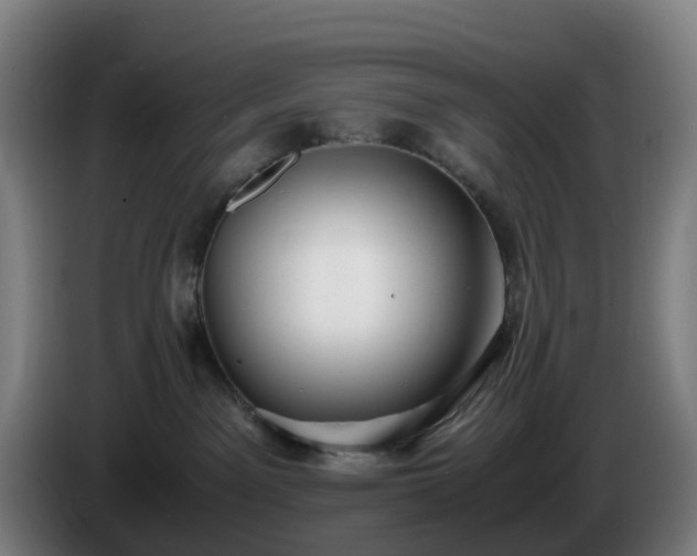 X0000086010141200703301018