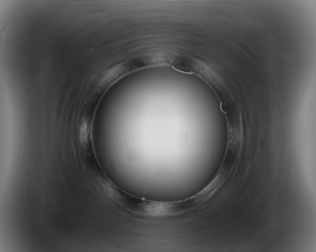X0000086010142200703301018