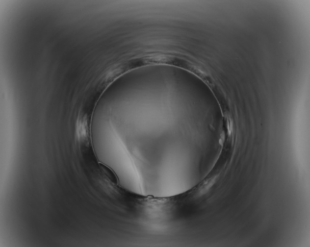 X0000086010143200703301018