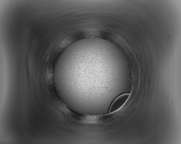 X0000086010144200703301018