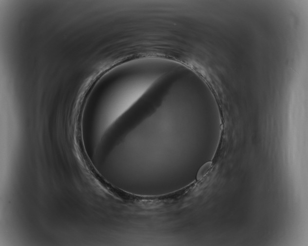X0000086010145200703301018