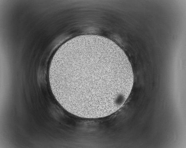 X0000086010146200703301018
