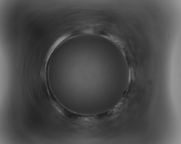 X0000086010147200703301018