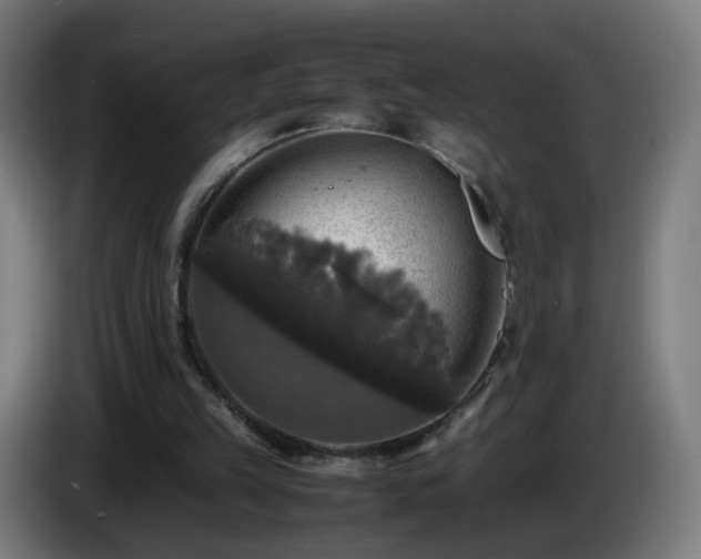 X0000086010149200703301018