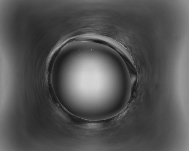 X0000086010150200703301018