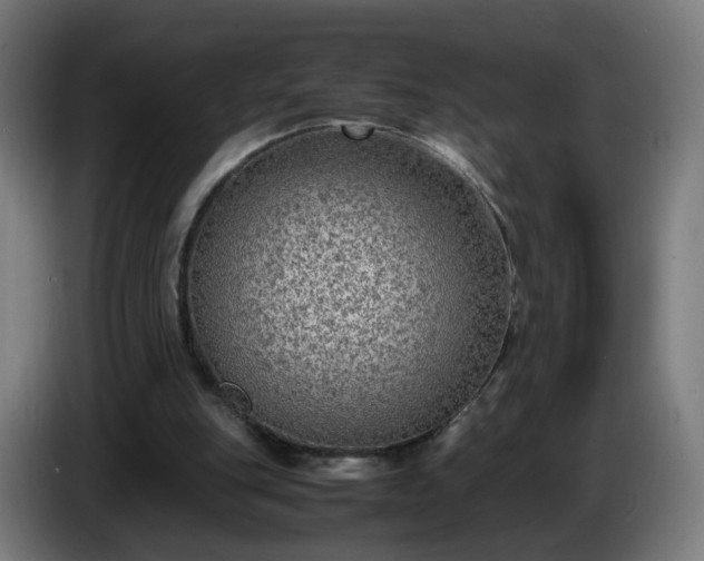 X0000086010151200703301018