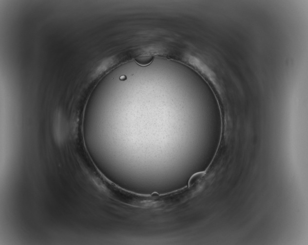 X0000086010153200703301018