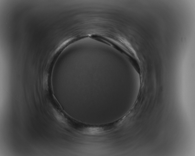 X0000086010154200703301018