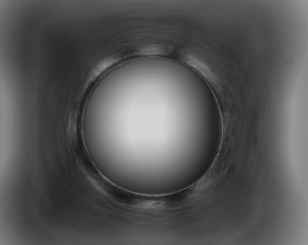 X0000086010155200703301018