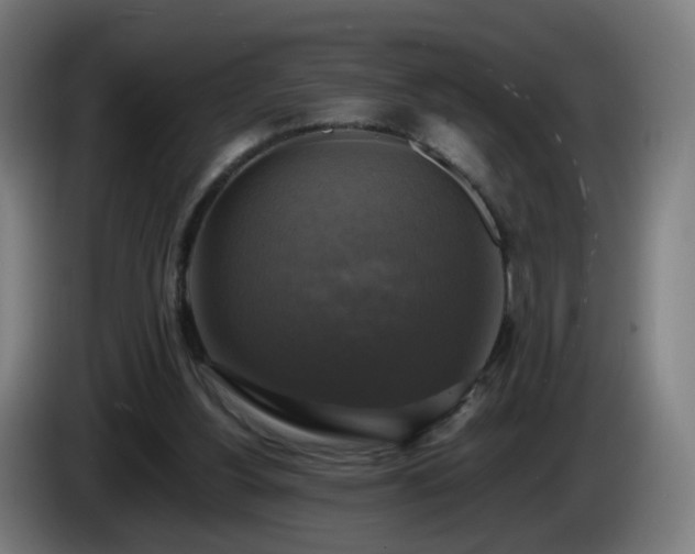 X0000086010156200703301018