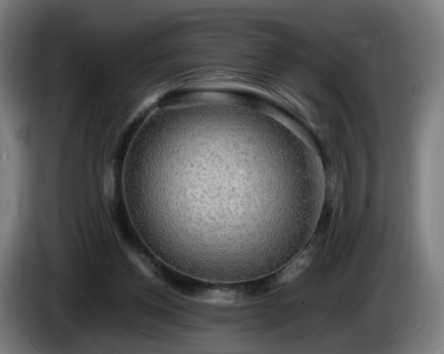 X0000086010158200703301018
