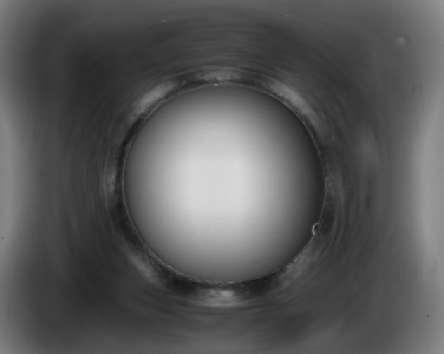 X0000086010159200703301018