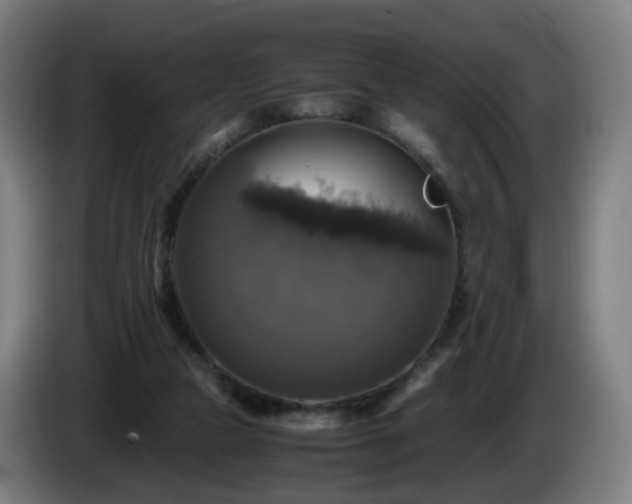 X0000086010161200703301018