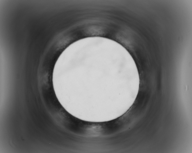 X0000086010162200703301018