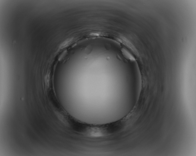 X0000086010163200703301018