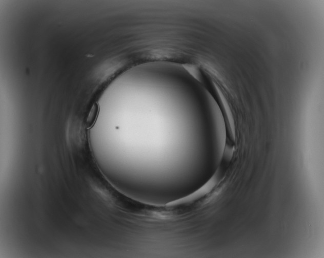 X0000086010164200703301018