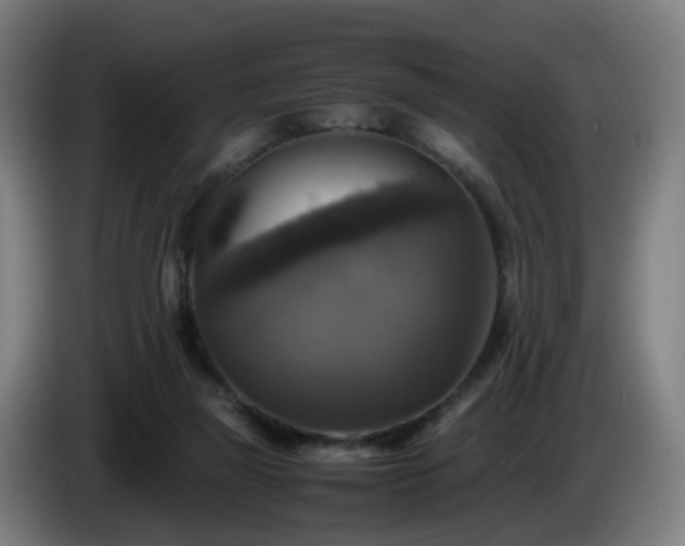 X0000086010165200703301018